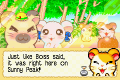 screenshots/Game Boy Advance/Hamtaro - Rainbow Rescue/Hamtaro - Rainbow Rescue (Eng) 013.png